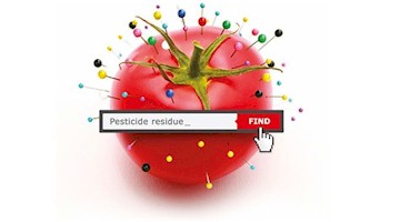Pesticides-tomato